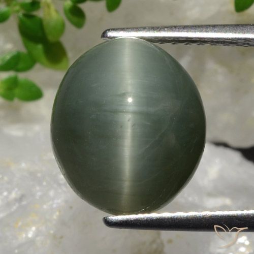 6.98ct طبيعي رمادى متوسط كوارتز عين القط, بيضوي, غير شفاف