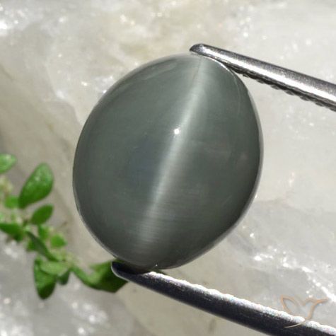 كوارتز عين القط رمادى مخضر طبيعي، قصة بيضاوى، 6.17 قيراط، غير شفاف