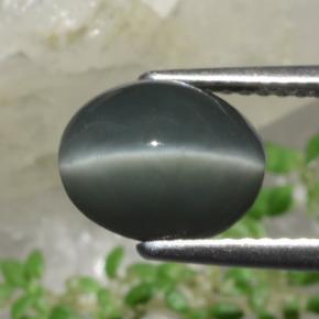 كوارتز عين القط أخضر طبيعي، قصة بيضاوى، 2.63 قيراط، غير شفاف