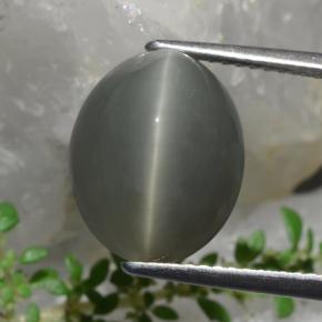 كوارتز عين القط أخضر طبيعي، قصة بيضاوى، 8.58 قيراط، غير شفاف