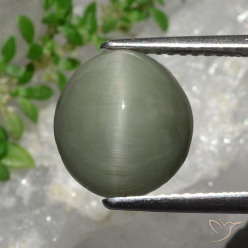 4.44ct طبيعي أخضر رمادى كوارتز عين القط, بيضوي, غير شفاف