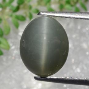 كوارتز عين القط رمادى مخضر طبيعي، قصة بيضاوى، 3.22 قيراط، غير شفاف