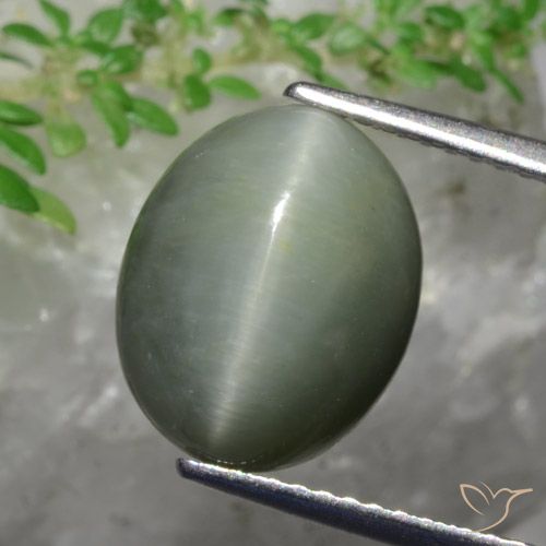 5.82ct طبيعي أخضر متوسط كوارتز عين القط, بيضوي, غير شفاف