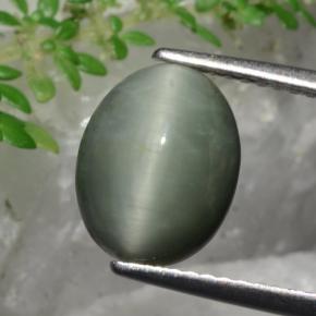 كوارتز عين القط أخضر طبيعي، قصة بيضاوى، 3.36 قيراط، غير شفاف