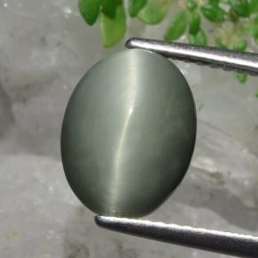 كوارتز عين القط أخضر طبيعي، قصة بيضاوى، 3.82 قيراط، غير شفاف