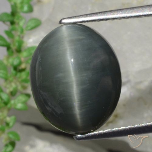 كوارتز عين القط رمادى داكن طبيعي، قصة بيضاوى، 8.57 قيراط، غير شفاف