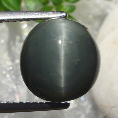 6.82ct طبيعي رمادى داكن كوارتز عين القط, بيضوي, غير شفاف