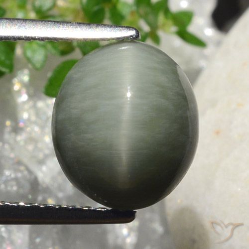 4.18ct طبيعي رمادى متوسط كوارتز عين القط, بيضوي, غير شفاف
