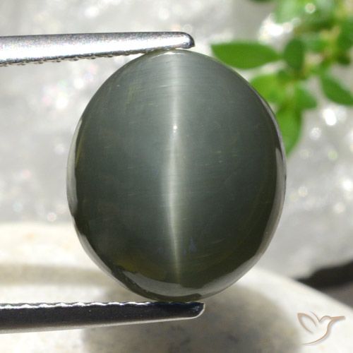 7.44ct طبيعي رمادى متوسط كوارتز عين القط, بيضوي, غير شفاف