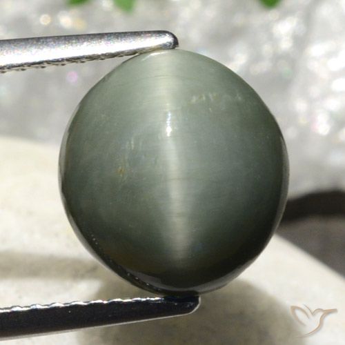 4.86ct طبيعي رمادى مخضر كوارتز عين القط, بيضوي, غير شفاف