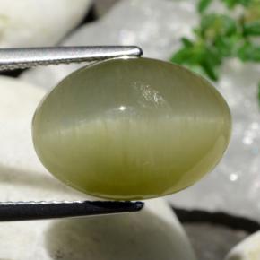 Quartz Cat's Eye طبيعي بلون أصفر فاتح، وزن ‎9.05‎ قيراط، شكل بيضاوى، مقاس ‎15.4x11.1‎ مم