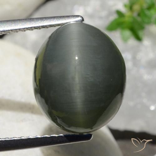 7.47ct طبيعي رمادى داكن كوارتز عين القط, بيضوي, غير شفاف, Photo A