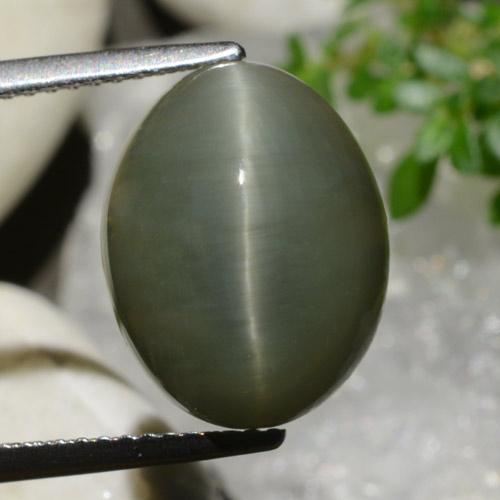 كوارتز عين القط أخضر دافئ طبيعي، قصة بيضاوى، 8.34 قيراط، غير شفاف