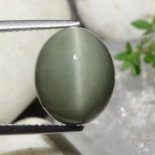 7.32ct طبيعي أخضر متوسط كوارتز عين القط, بيضوي, غير شفاف