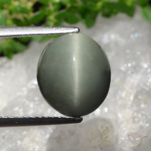 6.02ct طبيعي رمادى مخضر كوارتز عين القط, بيضوي, غير شفاف