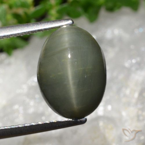 5.98ct طبيعي أخضر متوسط كوارتز عين القط, بيضوي, غير شفاف