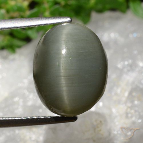 8.13ct طبيعي أخضر رمادى كوارتز عين القط, بيضوي, غير شفاف