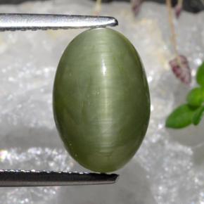 كوارتز عين القط أخضر متوسط طبيعي، قصة بيضاوى، 3.88 قيراط، غير شفاف