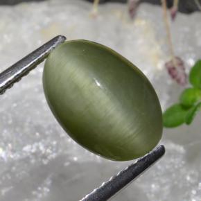 كوارتز عين القط أخضر متوسط طبيعي، قصة بيضاوى، 3.88 قيراط، غير شفاف