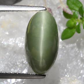 Quartz Cat's Eye طبيعي بلون أخضر، وزن ‎4.04‎ قيراط، شكل بيضاوى، مقاس ‎12.7x6.8‎ مم