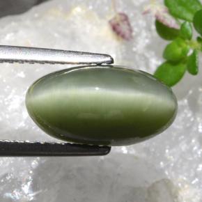 Quartz Cat's Eye طبيعي بلون أخضر، وزن ‎4.04‎ قيراط، شكل بيضاوى، مقاس ‎12.7x6.8‎ مم