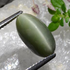 Quartz Cat's Eye طبيعي بلون أخضر، وزن ‎4.04‎ قيراط، شكل بيضاوى، مقاس ‎12.7x6.8‎ مم