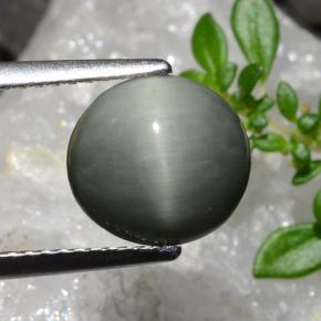 كوارتز عين القط رمادى متوسط طبيعي، قصة بيضاوى، 2.83 قيراط، غير شفاف