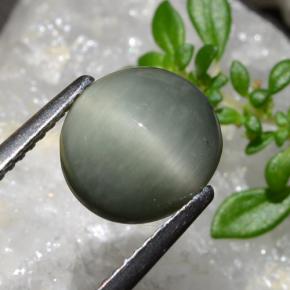 كوارتز عين القط رمادى متوسط طبيعي، قصة بيضاوى، 2.83 قيراط، غير شفاف