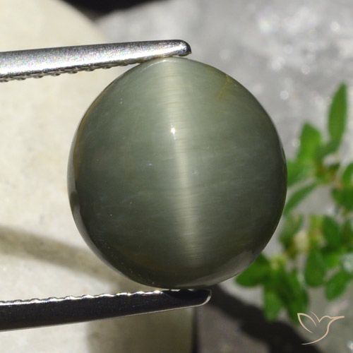 6.23ct طبيعي أخضر دافئ كوارتز عين القط, بيضوي, غير شفاف