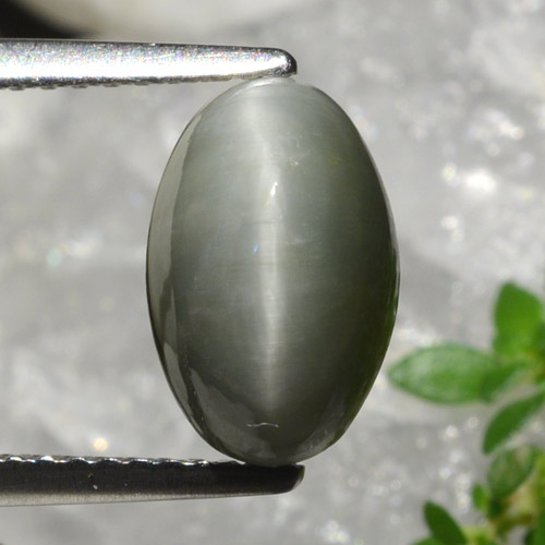 كوارتز عين القط رمادى متوسط طبيعي، قصة بيضاوى، 2.99 قيراط، غير شفاف