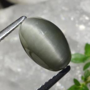 كوارتز عين القط رمادى متوسط طبيعي، قصة بيضاوى، 2.99 قيراط، غير شفاف