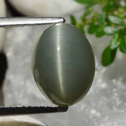 كوارتز عين القط رمادى مخضر طبيعي، قصة بيضاوى، 4.96 قيراط، غير شفاف
