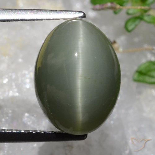6.37ct طبيعي رمادى مخضر كوارتز عين القط, بيضوي, غير شفاف