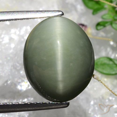 5.84ct طبيعي أخضر طحلبى رمادى كوارتز عين القط, بيضوي, غير شفاف