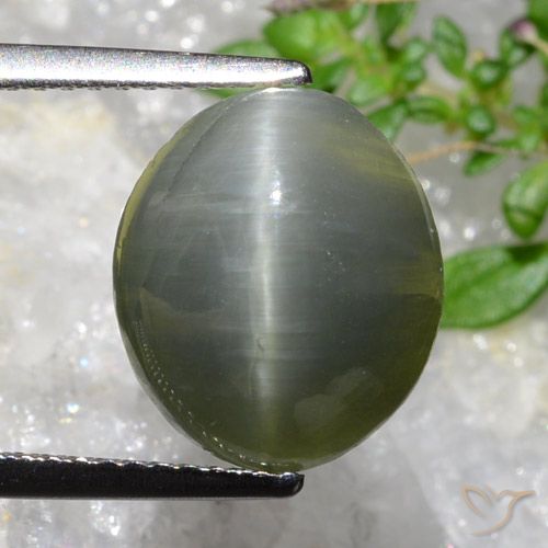 5.35ct طبيعي رمادى مخضر كوارتز عين القط, بيضوي, غير شفاف