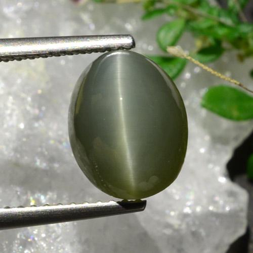 Quartz Cat's Eye طبيعي بلون أخضر متوسط، وزن ‎3.92‎ قيراط، شكل بيضاوى، مقاس ‎10.1x7.9‎ مم