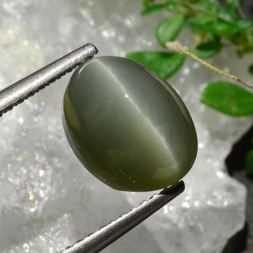 Quartz Cat's Eye طبيعي بلون أخضر متوسط، وزن ‎3.92‎ قيراط، شكل بيضاوى، مقاس ‎10.1x7.9‎ مم