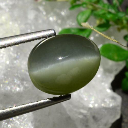 Quartz Cat's Eye طبيعي بلون أخضر متوسط، وزن ‎3.92‎ قيراط، شكل بيضاوى، مقاس ‎10.1x7.9‎ مم