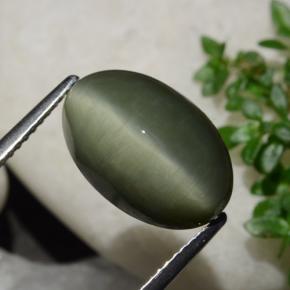 كوارتز عين القط أخضر ترابى طبيعي، قصة بيضاوى، 6.44 قيراط، غير شفاف