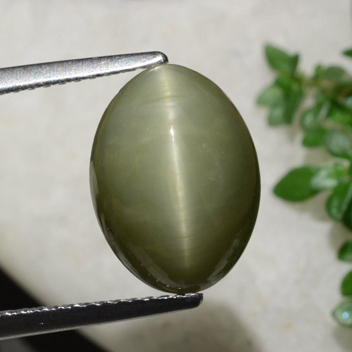 كوارتز عين القط أخضر دافئ طبيعي، قصة بيضاوى، 6.21 قيراط، غير شفاف