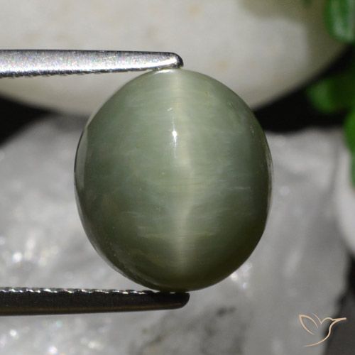 6.79ct طبيعي أخضر ترابى كوارتز عين القط, بيضوي, غير شفاف