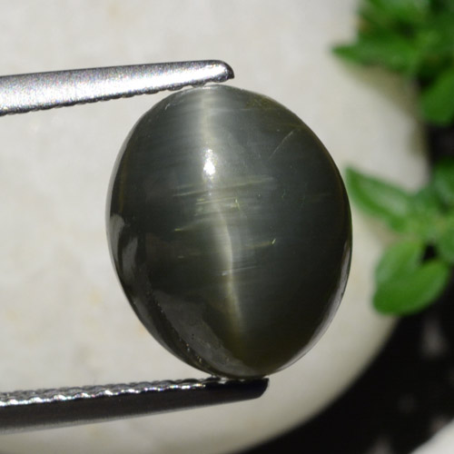 كوارتز عين القط رمادى فولاذى طبيعي، قصة بيضاوى، 5.40 قيراط، غير شفاف