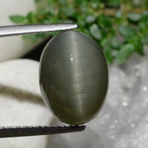 كوارتز عين القط أخضر ترابى طبيعي، قصة بيضاوى، 6.97 قيراط، غير شفاف