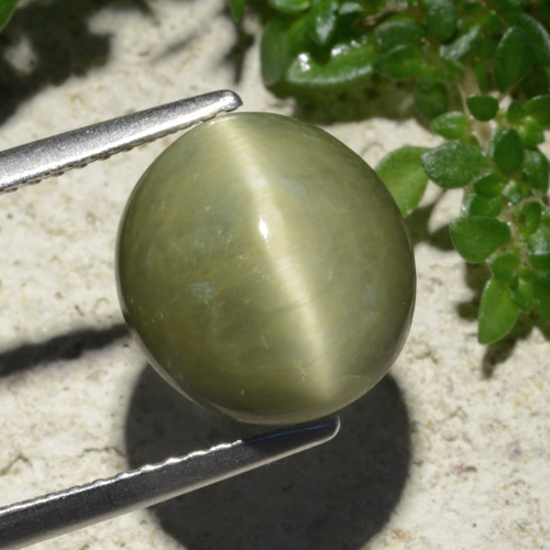 كوارتز عين القط أخضر دافئ طبيعي، قصة بيضاوى، 6.19 قيراط، غير شفاف