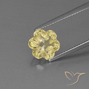 2.60ct طبيعي أصفر باهت كوارتز, قص وردة, شفاف
