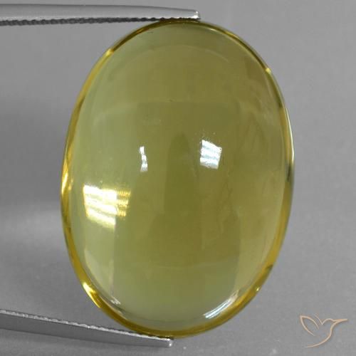 46.61ct طبيعي أصفر النحلة كوارتز, بيضوي, شفاف