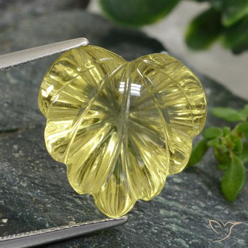 11.72ct طبيعي أصفر مخضر كوارتز, قص وردة, شفاف