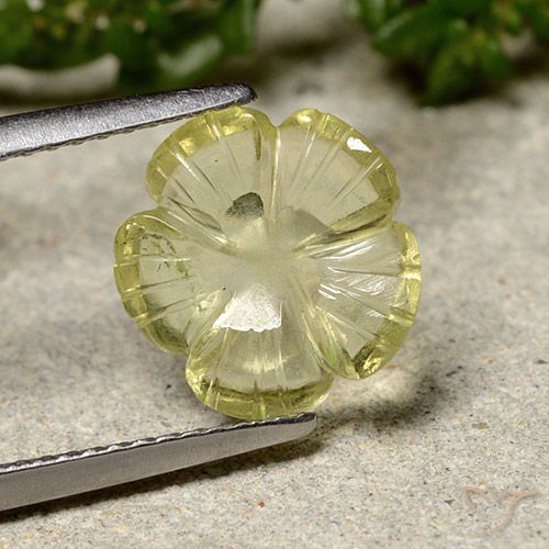 2.25ct طبيعي أصفر متوسط كوارتز, قص وردة, شفاف