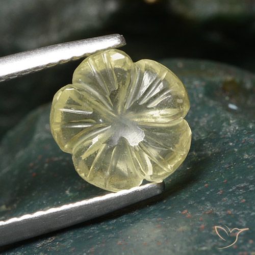 2.43ct طبيعي أصفر كريمى باهت كوارتز, قص وردة, شفاف