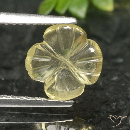 1.66ct طبيعي أصفر متوسط كوارتز, قص وردة, شفاف
